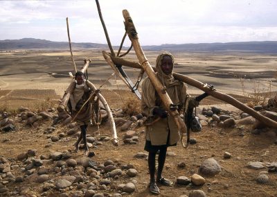 Un contadino e suo figlio trasportano gli attrezzi agricoli.